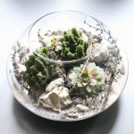 Kamienna pustynia w szkle