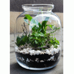 Krople zieleni w szkle