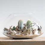 DIY - pustynia w szkle