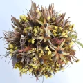 6a.gif