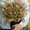 6B.gif