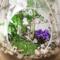4B.gif